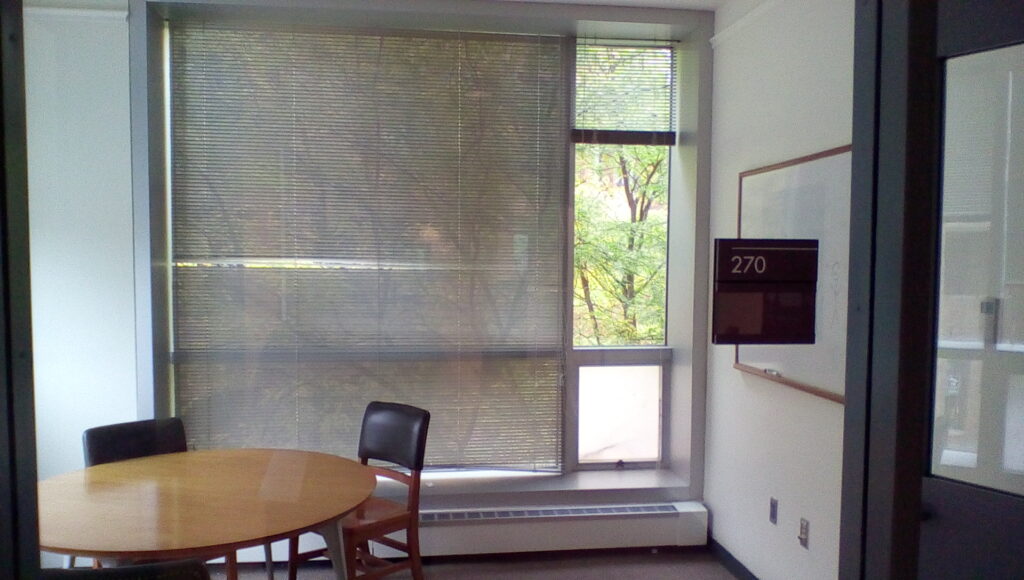 Mann 270 Group Study – Cornell University Library