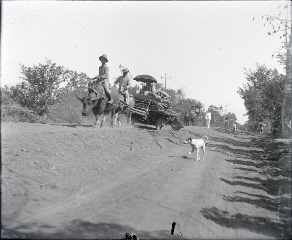 Gerow Brill's plate glass photograph of a family returning from concentration camp with carabao and household goods in cart